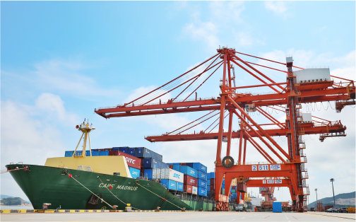 尊龙时凯状元岙港务分公司