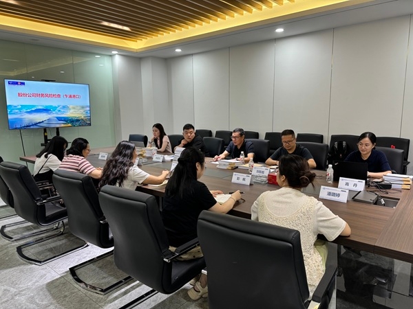 财务检查组赴乍浦口岸开展股份公司财务风险检查